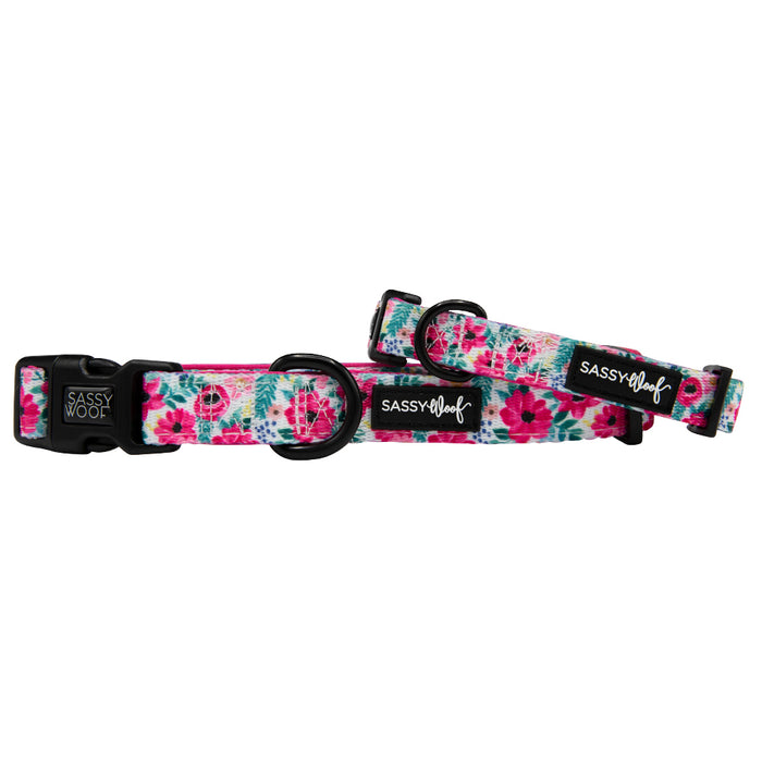 The Sassy Woof Dog Collar - Floral Frenzy features a playful pink, blue, and green floral pattern on white, with black plastic buckles and Sassy Woof labels for standout adjustable style.