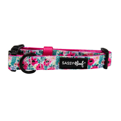 The Sassy Woof Dog Collar - Floral Frenzy features an adjustable fit, vibrant pink, blue, and green floral design, black buckle, metal D-ring, and a black patch with the Sassy Woof logo.