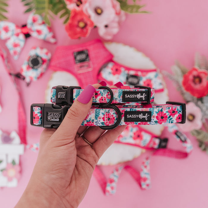A hand with pink nail polish holds two Sassy Woof "Dog Collar - Floral Frenzy" collars, featuring floral patterns, with matching pet accessories and vibrant flowers on a pink background.
