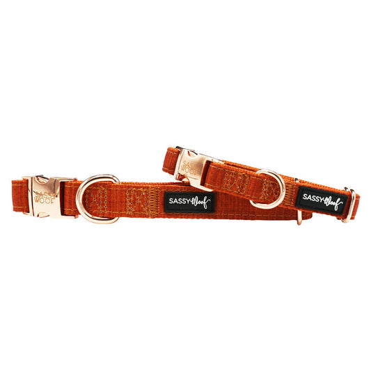 Two orange Dog Collar - Foxy by Sassy Woof, each with rose gold buckles and D-rings, plus a black Sassy Woof label in white. The adjustable collars are placed side by side on a white background.