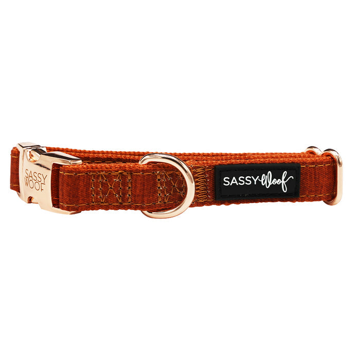 The Sassy Woof "Dog Collar - Foxy" is an orange adjustable collar with gold-tone hardware, a D-ring, and two tags: a black tag with the Sassy Woof logo in white and another engraved with the brand near the buckle.