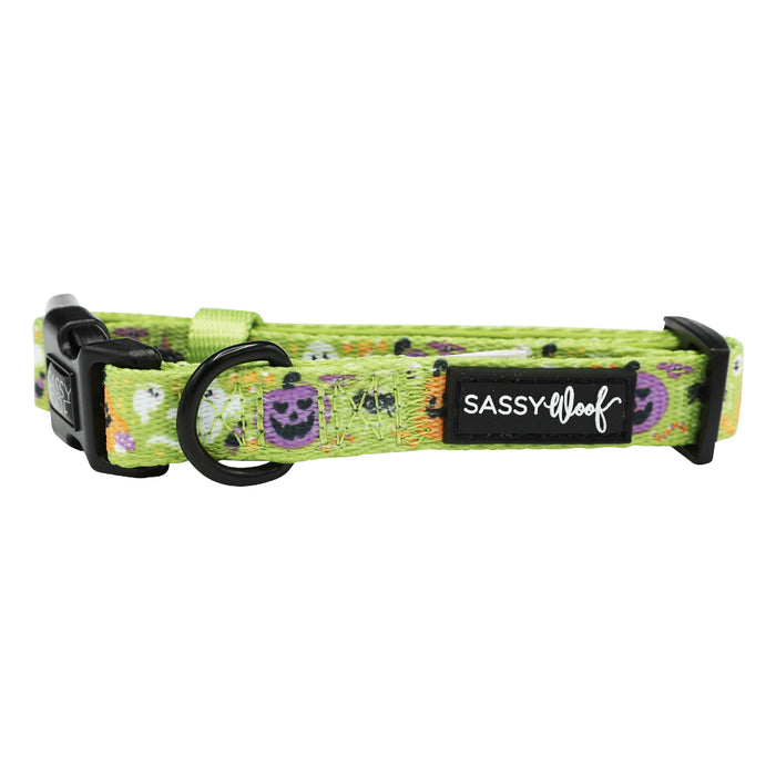 The Sassy Woof Dog Collar - Haunt Mess is a green, adjustable neoprene collar with a sturdy D-ring, black plastic buckle, and label. It features cute colorful skulls in white, purple, and black.