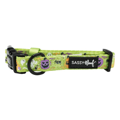 The Sassy Woof Dog Collar - Haunt Mess is a green, adjustable neoprene collar with a sturdy D-ring, black plastic buckle, and label. It features cute colorful skulls in white, purple, and black.