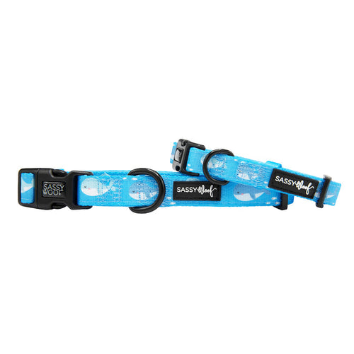 The Sassy Woof Dog Collar - Might as Whale features a blue design with white cloud patterns, black plastic buckle, metal D-ring, and a branded tag. Pair it with the matching neoprene harness for a stylish walk.