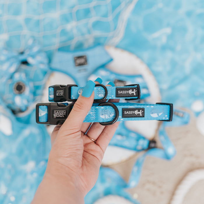A hand with bright blue nails holds two Sassy Woof "Might as Whale" dog collars by a pool, with matching neoprene harnesses and blue pet accessories reflected in the sparkling water.