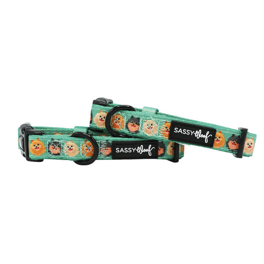 Two green “Pawfect Poms” dog collars by Sassy Woof, decorated with cartoon dog faces and sturdy D-rings, are displayed overlapping on a white background.