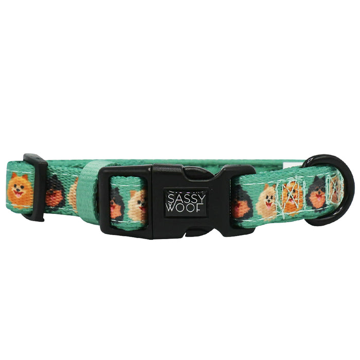 The 'Dog Collar - Pawfect Poms' by Sassy Woof is a green neoprene collar with a sturdy D-ring, black buckle, and features a repeating pattern of cute orange dog faces plus the Sassy Woof logo on the buckle.