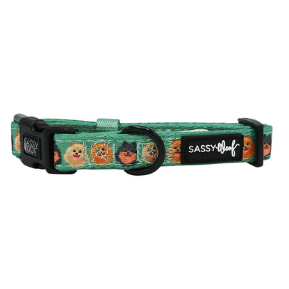 The Sassy Woof Dog Collar - Pawfect Poms is a green neoprene collar with black buckles, a sturdy D-ring, playful pomeranian dog faces, and a signature Sassy Woof logo tag.