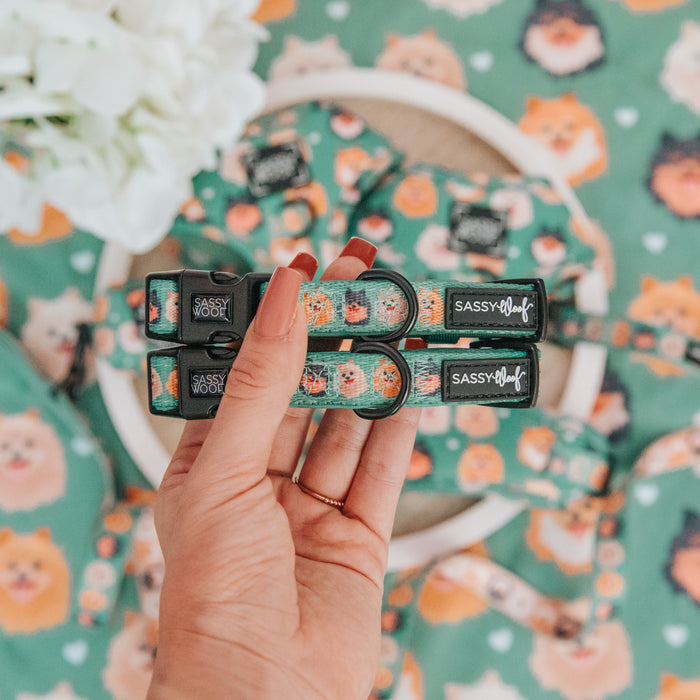 A hand holds two green Sassy Woof Dog Collar - Pawfect Poms with Pomeranian faces. Coordinating Sassy Woof dog accessories are arranged in the background, and white flowers peek in from the side.