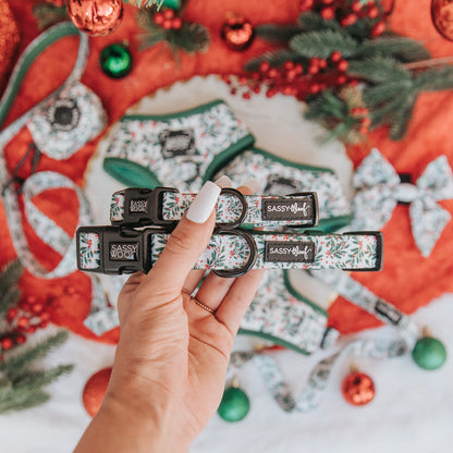 A hand with white-painted nails holds two "Under the Mistletoe" adjustable dog collars by Sassy Woof. The background has matching accessories, pine branches, and Christmas ornaments on a red and white surface.
