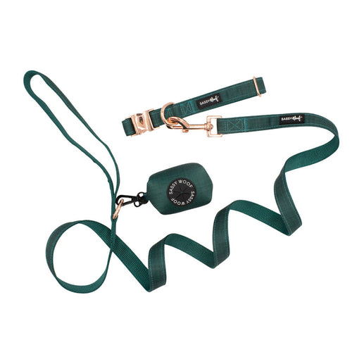 Explore the Sassy Woof Dog Collar Three Piece Bundle - Forest, featuring a green dog leash and matching collar with elegant gold hardware, plus a coordinating green waste bag holder attached to the leash—all beautifully displayed on a white background.