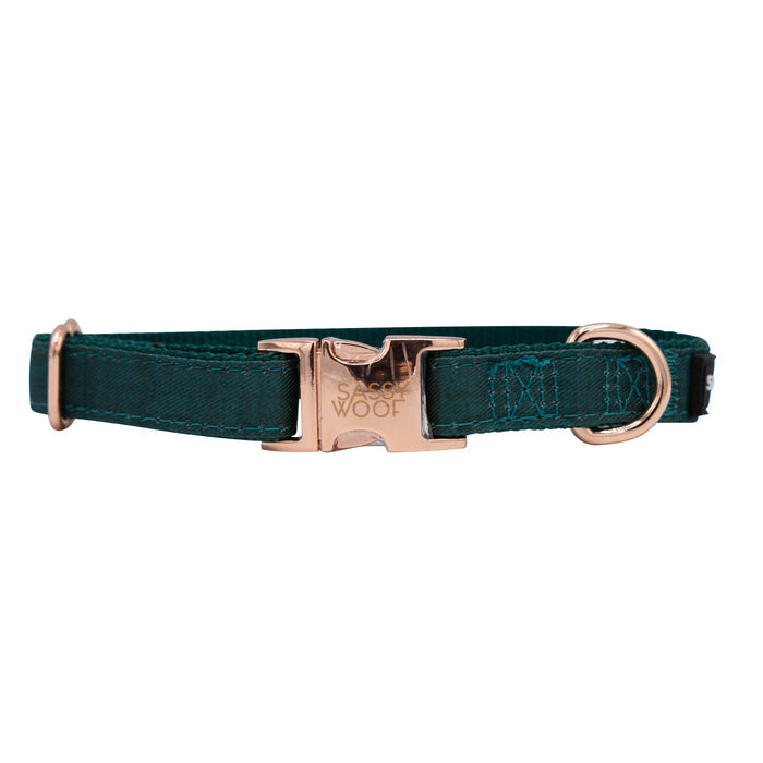 A teal fabric dog collar from the Sassy Woof Dog Collar Three Piece Bundle - Forest, featuring gold metal hardware with a buckle engraved with SASSY WOOF and two D-rings for attaching a leash or tags. Part of the Forest collection, the collar is displayed flat against a white background.