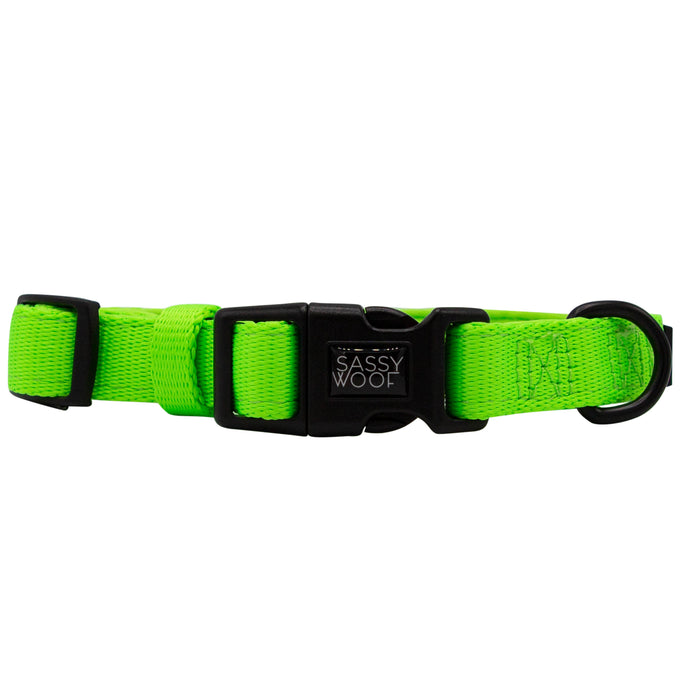 Introducing the Sassy Woof Dog Collar Three Piece Bundle in Neon Green—a vibrant accessory featuring a sturdy black plastic buckle and D-ring, perfect for pairing with your favorite neon dog leash. The buckle is adorned with the Sassy Woof logo, making this collar an outstanding choice among neon dog accessories.