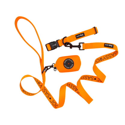 Introducing the Sassy Woof Dog Collar Three Piece Bundle in Neon Orange, featuring a vibrant neon orange dog collar, matching leash with bold black SASSY WOOF lettering, and a coordinating waste bag holder—all accented with sleek black metal clasps. Perfect for anyone who loves eye-catching neon dog accessories!.