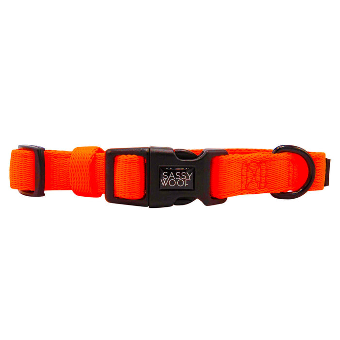 Presenting the Sassy Woof Dog Collar Three Piece Bundle in vibrant neon orange. This eye-catching dog collar, part of our bold neon accessories collection, features a sturdy black plastic buckle, a D-ring for easy leash attachment, and a small label that reads "Sassy Woof." Shown laid flat on a white background, the simple yet stylish design ensures your pup stands out on every walk.