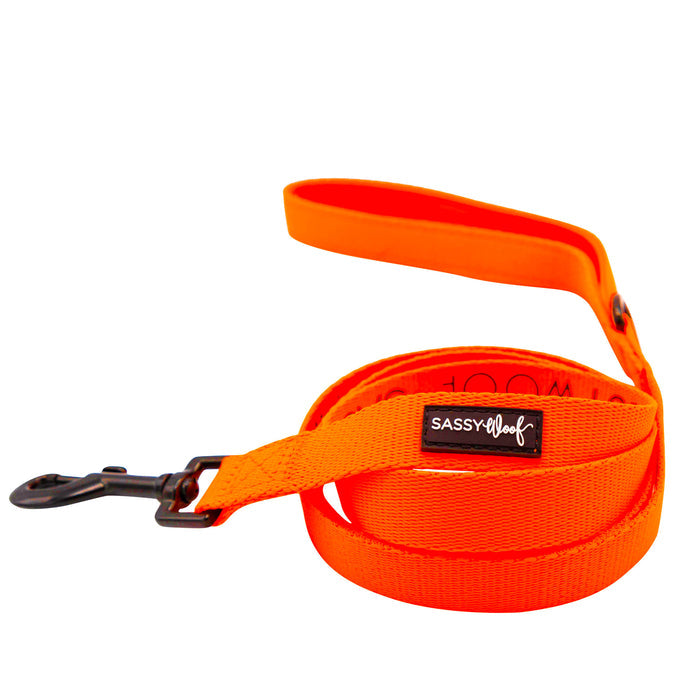 Elevate your pup's style with the Sassy Woof Dog Collar Three Piece Bundle in Neon Orange. This vibrant set includes a neon orange dog collar and matching accessories, all featuring sturdy black metal clasps and comfortable handles. Each piece is adorned with the signature SASSY WOOF label near the clasp, making it the perfect addition to any collection of eye-catching orange dog accessories. The bundle is displayed neatly coiled on a white background—ideal for pairing with your favorite neon ge