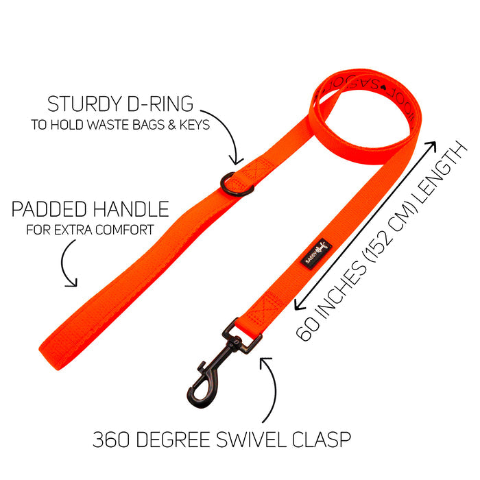 Introducing the Sassy Woof Dog Collar Three Piece Bundle in vibrant neon orange! Featuring a comfortable padded handle, a secure D-ring for attaching keys or waste bags, and a 360-degree swivel clasp—all at a convenient 60-inch (152 cm) length. Perfect as one of your must-have neon dog accessories, with clearly-labeled highlights and arrows pointing out each feature.