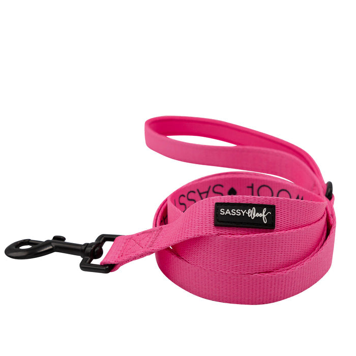 A vibrant neon pink dog leash from Sassy Woof, featuring a black metal clasp and a signature Sassy Woof label. Coiled with its handle loop showing, this leash pairs perfectly with the Dog Collar Three Piece Bundle - Neon Pink or your favorite dog waste bag holder for stylish walks.