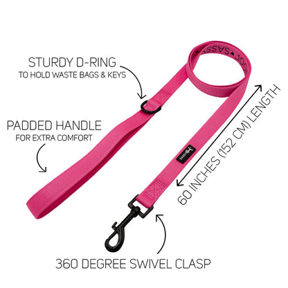 Introducing the Sassy Woof Dog Collar Three Piece Bundle in Neon Pink—a bright and colorful set featuring a neon pink leash with labeled features: a sturdy D-ring for attaching bags or your dog's waste bag holder, a padded handle for added comfort, a 60-inch (152 cm) length, and a 360-degree swivel clasp. This leash pairs perfectly with your favorite Sassy Woof neon pink dog collar!.