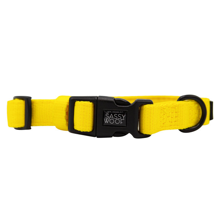 Show off your pup’s style with the Sassy Woof Dog Collar Three Piece Bundle in Neon Yellow—an adjustable collar featuring a black plastic buckle with the Sassy Woof label, a black metal D-ring for easy leash attachment, and bold neon coloring that’s perfect for fans of trendy dog accessories.