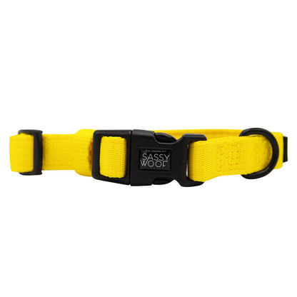 Show off your pup’s style with the Sassy Woof Dog Collar Three Piece Bundle in Neon Yellow—an adjustable collar featuring a black plastic buckle with the Sassy Woof label, a black metal D-ring for easy leash attachment, and bold neon coloring that’s perfect for fans of trendy dog accessories.