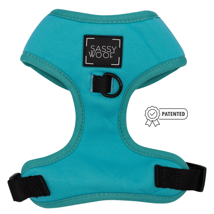 A “Sassy Woof” Dog Four Piece Bundle in Neon Blue with black trim and a front label, plus a leash D-ring. Shown with an adjustable collar and a “Patented” badge to the right.