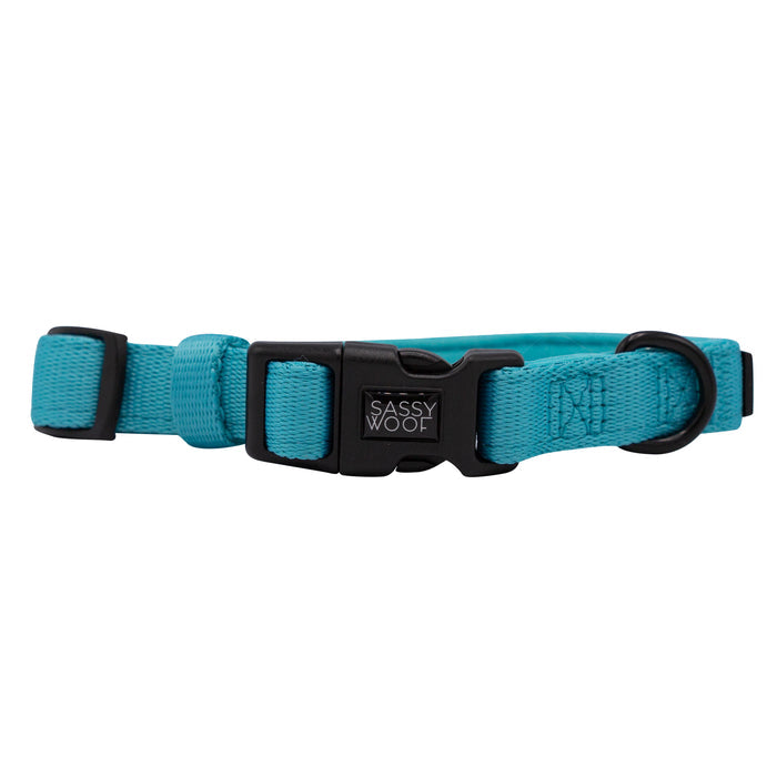 The Sassy Woof Dog Four Piece Bundle in Neon Blue features adjustable collars with black plastic buckles, metal D-rings, and the Sassy Woof logo—ideal for your puppy's growth plan.