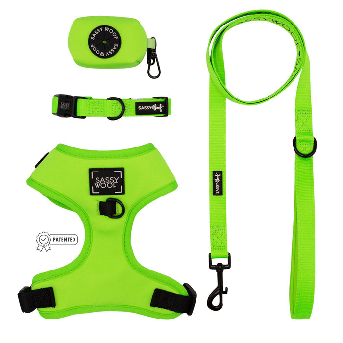 The Sassy Woof Dog Four Piece Bundle - Neon Green includes an adjustable collar, leash, harness, and waste bag holder—ideal for vibrant walks and your puppy's growth.