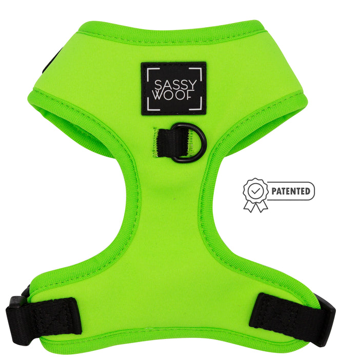The Sassy Woof Dog Four Piece Bundle in neon green features a harness with black logo patch, buckle, and straps, an adjustable collar, metal leash ring, and a Patented badge icon beside the harness.