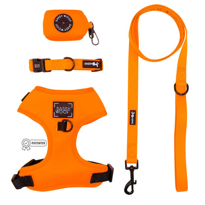 The Sassy Woof Dog Four Piece Bundle in Neon Orange includes a dog harness with a patented badge, adjustable collar, leash, and waste bag holder—all featuring bold black accents and Sassy Woof labels.