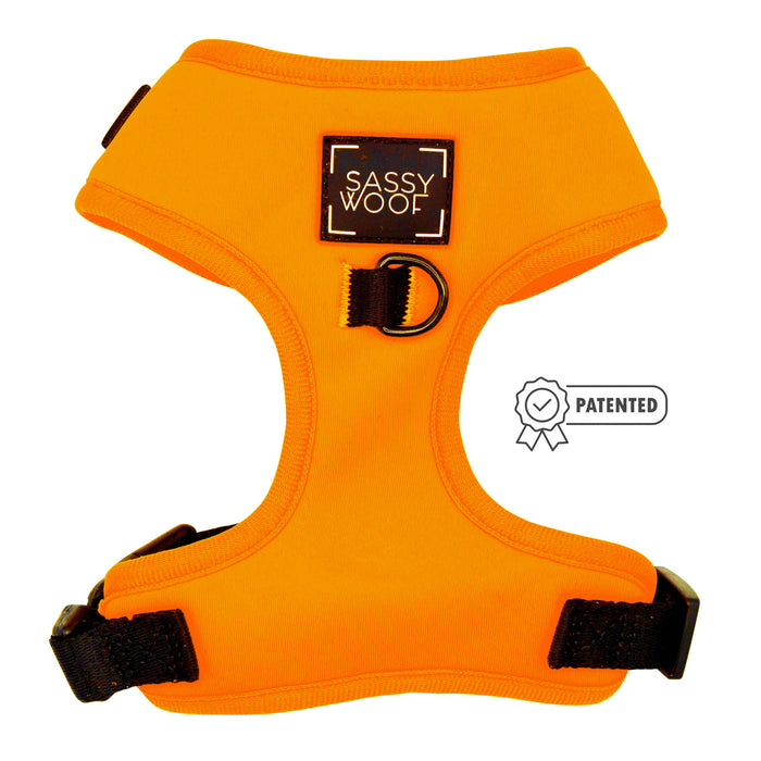 The Sassy Woof Dog Four Piece Bundle in Neon Orange features black buckles, a D-ring for leash attachment, a Sassy Woof patch with patented icon, and pairs perfectly with an adjustable collar for your pup’s comfort and safety.