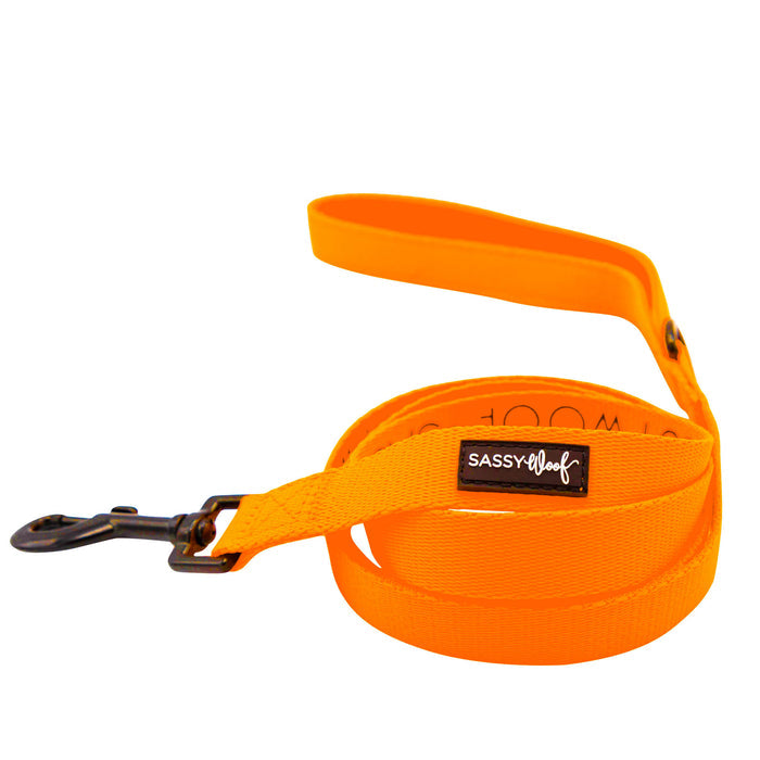 The Sassy Woof Dog Four Piece Bundle in Neon Orange features a padded handle, metal clip, and signature label. This leash offers comfort and style when paired with the adjustable collar, and comes coiled in a loose spiral.