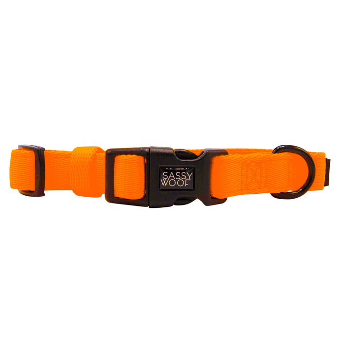 The Sassy Woof Dog Four Piece Bundle in Neon Orange features an adjustable collar with a black side-release buckle and metal D-ring—perfect for comfort, security, and supporting your puppy’s growth protection plan.
