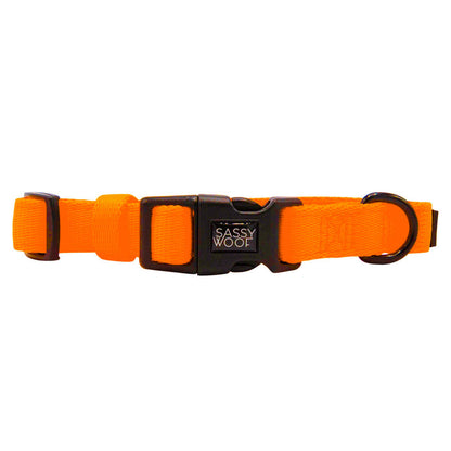 The Sassy Woof Dog Four Piece Bundle in Neon Orange features an adjustable collar with a black side-release buckle and metal D-ring—perfect for comfort, security, and supporting your puppy’s growth protection plan.
