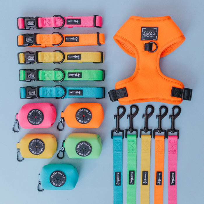 The Sassy Woof Dog Four Piece Bundle in Neon Orange features an adjustable collar, leash, harness, and waste bag holder, all neatly arranged on a light blue background.