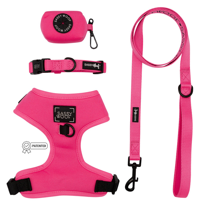 The Dog Four Piece Bundle - Neon Pink by Sassy Woof includes a harness, adjustable collar, leash, and matching bag, all with black hardware and Sassy Woof branding on a white label.
