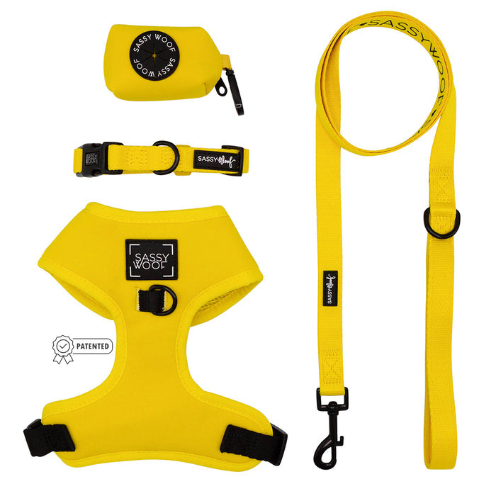 The Sassy Woof Dog Four Piece Bundle in Neon Yellow includes a harness, leash, and adjustable collar—perfect for stylish, safe walks.