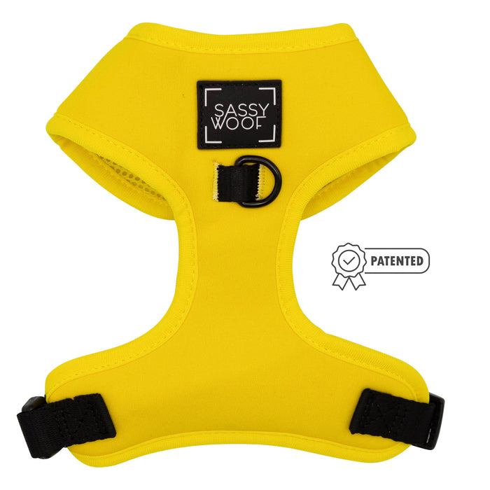 The Sassy Woof Dog Four Piece Bundle in Neon Yellow features black straps and an adjustable fit, ensuring comfort and style for your pup. Ideal for daily walks and supporting your puppy's growth protection plan.