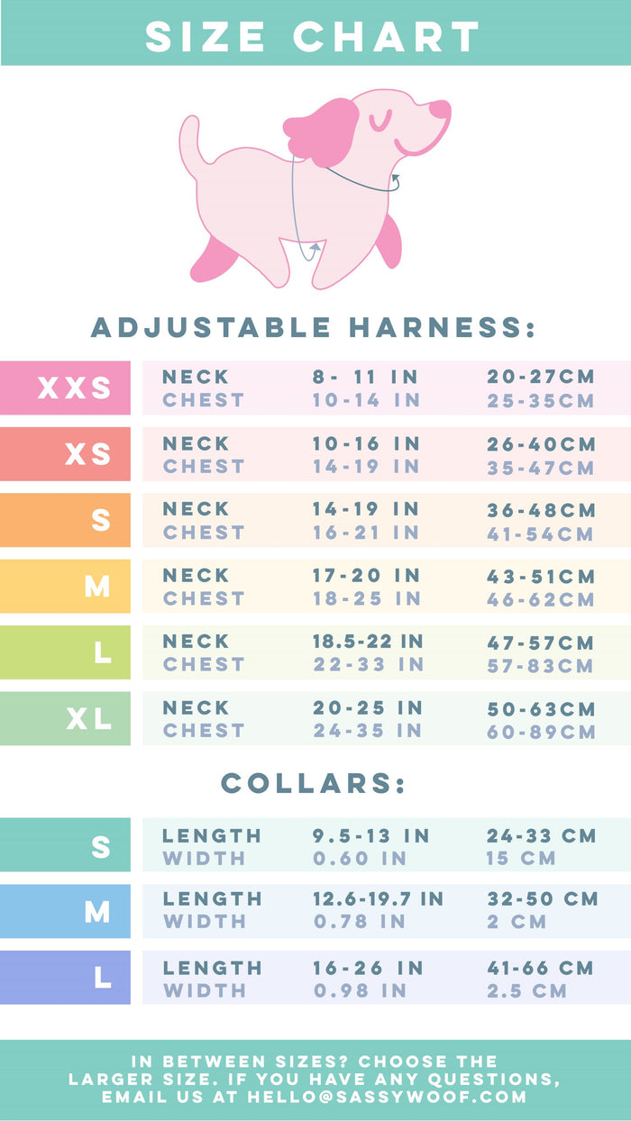 Vibrant Sassy Woof dog size chart for the Dog Four Piece Bundle - Teddy. Features a cartoon dog and lists adjustable harness (XXS-XL) and collar (S-L) sizes with neck, chest, length, and width in inches and centimeters.