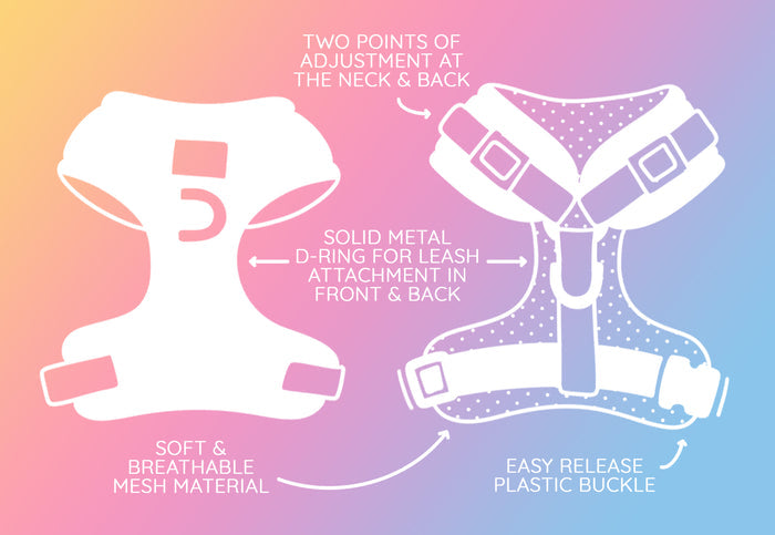 The Sassy Woof Dog Adjustable Harness - Dainty Daisy features neck and back adjustments, breathable mesh, a sturdy metal D-ring, and an easy-release buckle—perfect as a no-pull harness for your puppy’s growth.