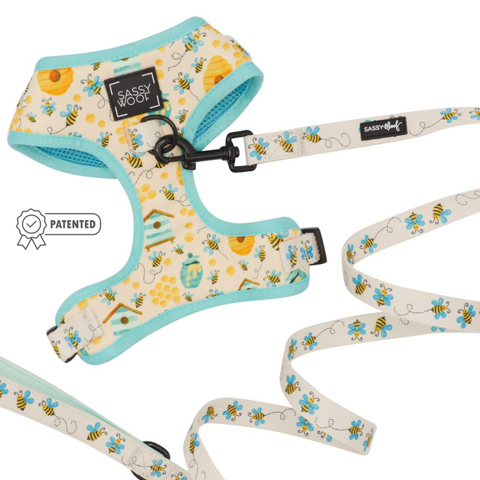 The Sassy Woof Dog Two Piece Bundle - Bee Sassy features a cream and blue adjustable harness and leash set with bee, honeycomb, and flower patterns—perfect style for your pup's daily walks!.
