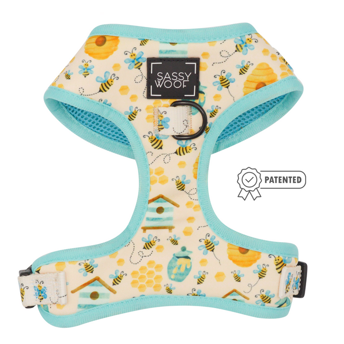 The Sassy Woof Dog Two Piece Bundle - Bee Sassy features a bee and honeycomb pattern with light blue trim, adjustable harness, back metal leash ring, brand label, and patented badge icon.