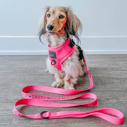 A small, long-haired dog wears the Sassy Woof Dog Two Piece Bundle - Neon Pink harness and sits on a wooden floor beside its matching leash, with a plain white wall in the background.
