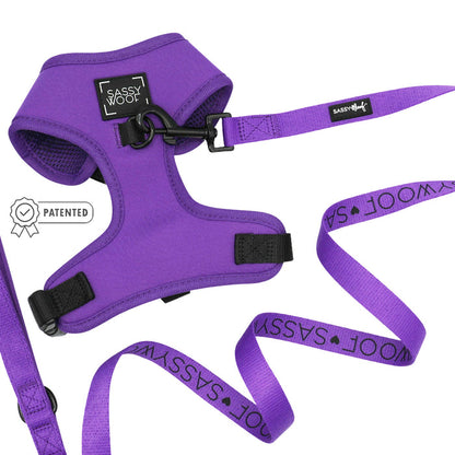 The Sassy Woof Dog Two Piece Bundle in Neon Purple offers a stylish, adjustable harness and leash set—ideal for comfort and a secure fit as your dog grows.