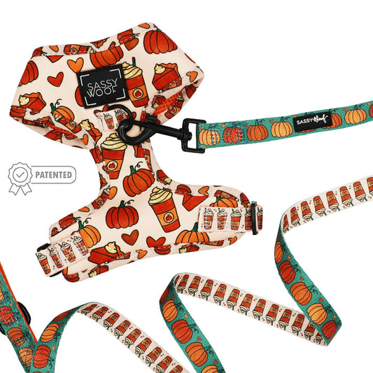 The Sassy Woof Dog Two Piece Bundle - Pie There features a cream and teal harness and leash set with autumn prints—pumpkins, lattes, and pies—plus an adjustable harness with the Sassy Woof logo and Puppy Growth Pawtection Plan.