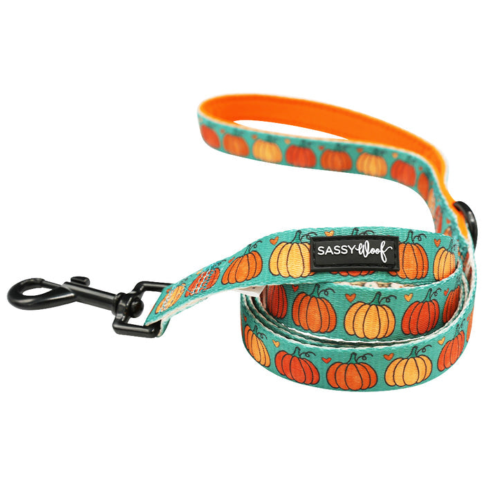 The Sassy Woof Dog Two Piece Bundle - Pie There includes a teal dog leash with orange lining, a repeating pumpkin pattern, black metal clip, and Sassy Woof label—perfectly paired with an adjustable harness for every walk.