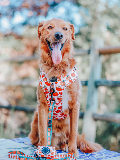 A golden retriever sits outdoors in the Sassy Woof Dog Two Piece Bundle - Pie There, featuring an adjustable harness and matching leash, with orange pumpkin designs and a blurred wooden fence and trees in the background.