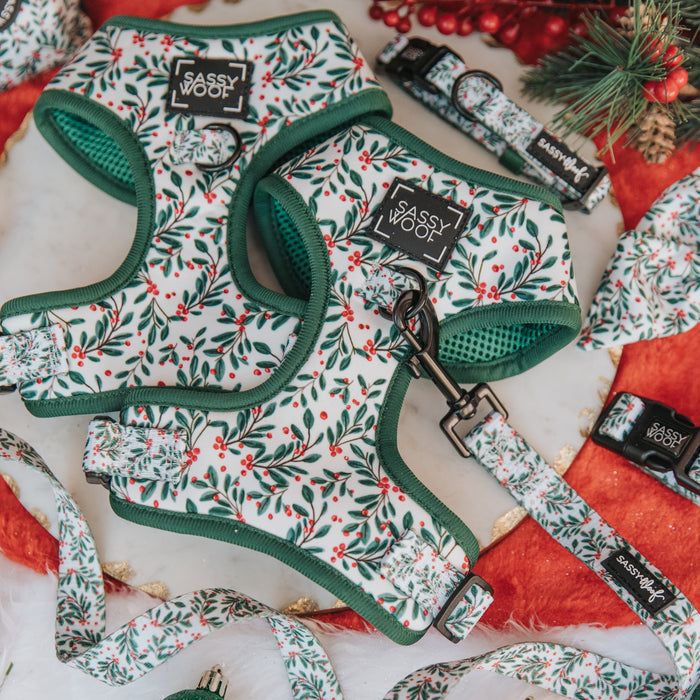 The Sassy Woof "Dog Two Piece Bundle - Under the Mistletoe" features an adjustable harness, leash, and festive holly and berry collar on a marble surface with holiday décor—perfect for your puppy’s growth plan.