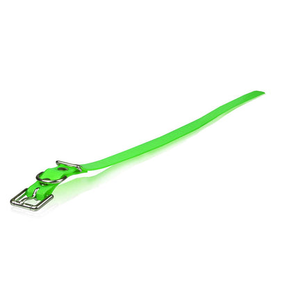 Dogtra Extra Dog Collar Strap 1" x 24"