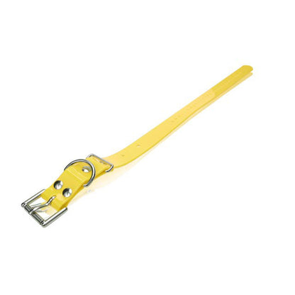 Dogtra Extra Dog Collar Strap 1" x 24"